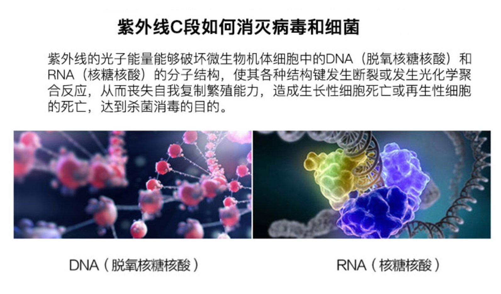 使用UVC+UVA紫外杀菌led灯珠说明